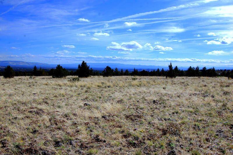 Ochoco Land + Livest - Land