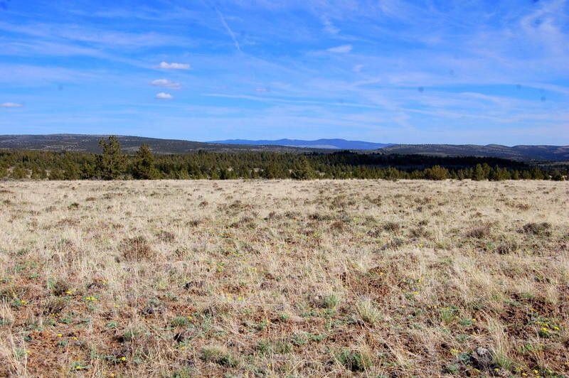 Ochoco Land + Livest - Land