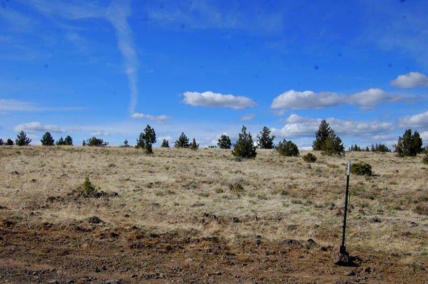 Wide open space with views of the surrounding territory including some Cascade Mountains. Beautiful Country Setting with lots of native juniper, sage and grasses scattered across this 5-acre parcel which border public lands! Just minutes from downtown and a short commute to Prineville Reservoir. Power is down the road west on Thomas. Plenty of room for building a home, barn, shop or use as a weekend getaway. Ochoco Land & Livestock offers perfect place to have animals. Enjoy the spectacular starlit nights! Corners are pinned! Sellers have three additional 5-acre parcels for sale; one on Bluebird and two on Iowa.