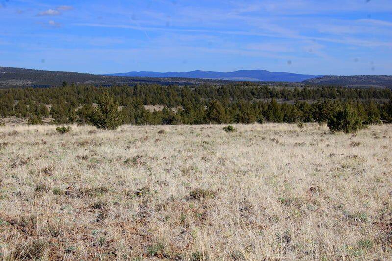 Ochoco Land + Livest - Land