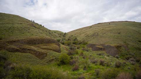 Tiny photo for 53232 Upper Rhea Creek Road, Heppner, OR 97836 (MLS # 220221822)
