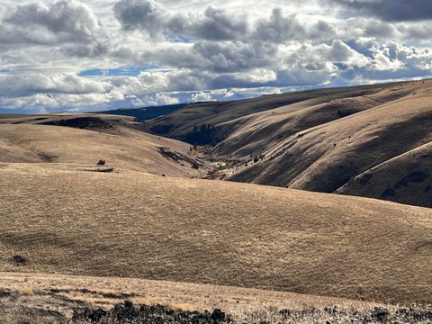 Tiny photo for 53232 Upper Rhea Creek Road, Heppner, OR 97836 (MLS # 220221822)