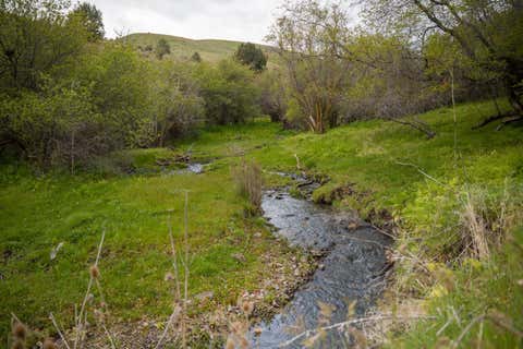 Tiny photo for 53232 Upper Rhea Creek Road, Heppner, OR 97836 (MLS # 220221822)