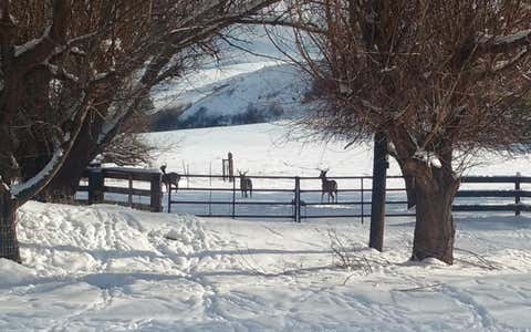 Tiny photo for 53232 Upper Rhea Creek Road, Heppner, OR 97836 (MLS # 220221822)