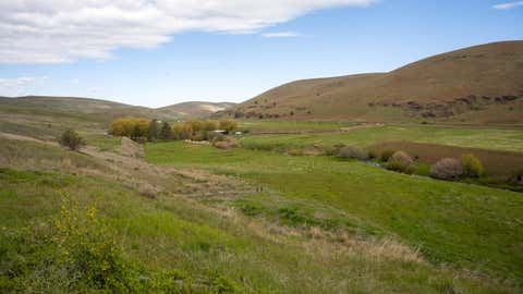 Tiny photo for 53232 Upper Rhea Creek Road, Heppner, OR 97836 (MLS # 220221822)