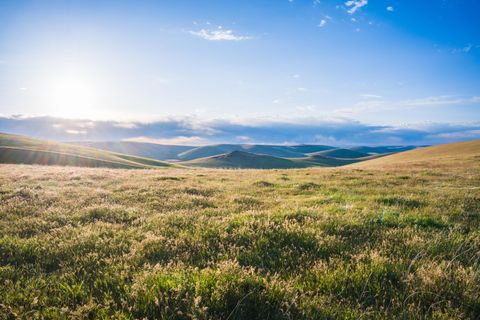 Tiny photo for 53232 Upper Rhea Creek Road, Heppner, OR 97836 (MLS # 220221822)