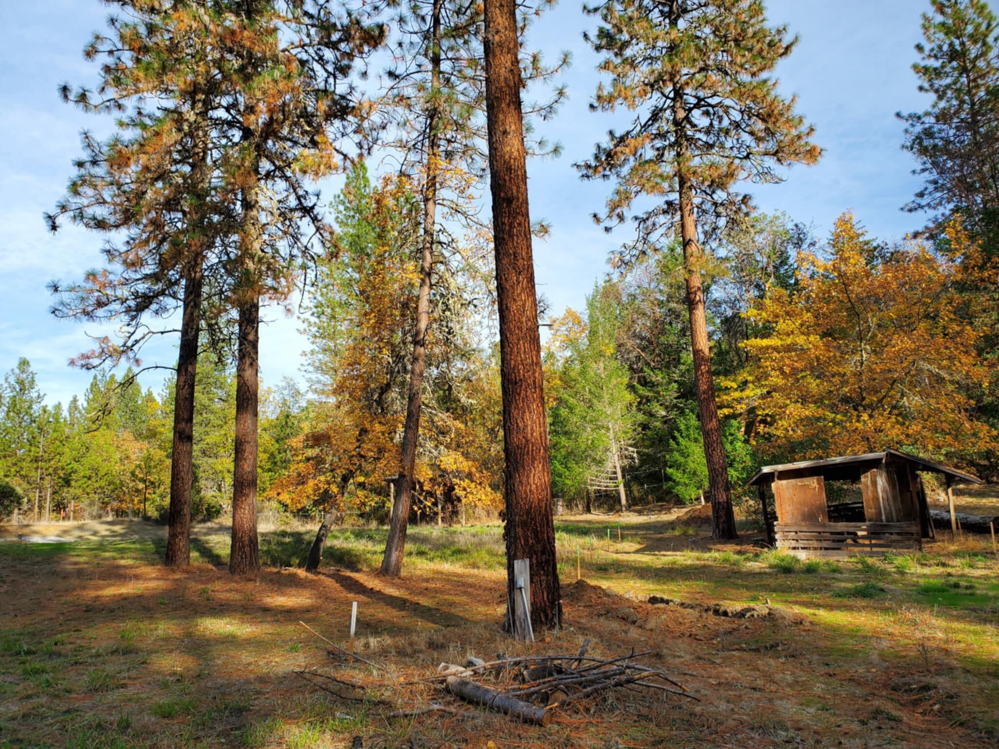 Valley View Tracts - Land