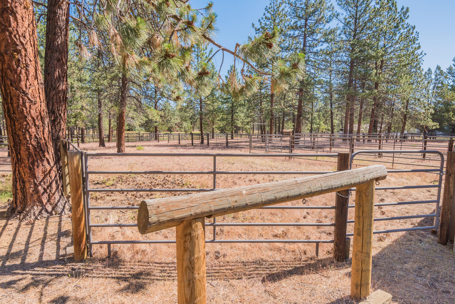 Indian Ford Meadows - Residential