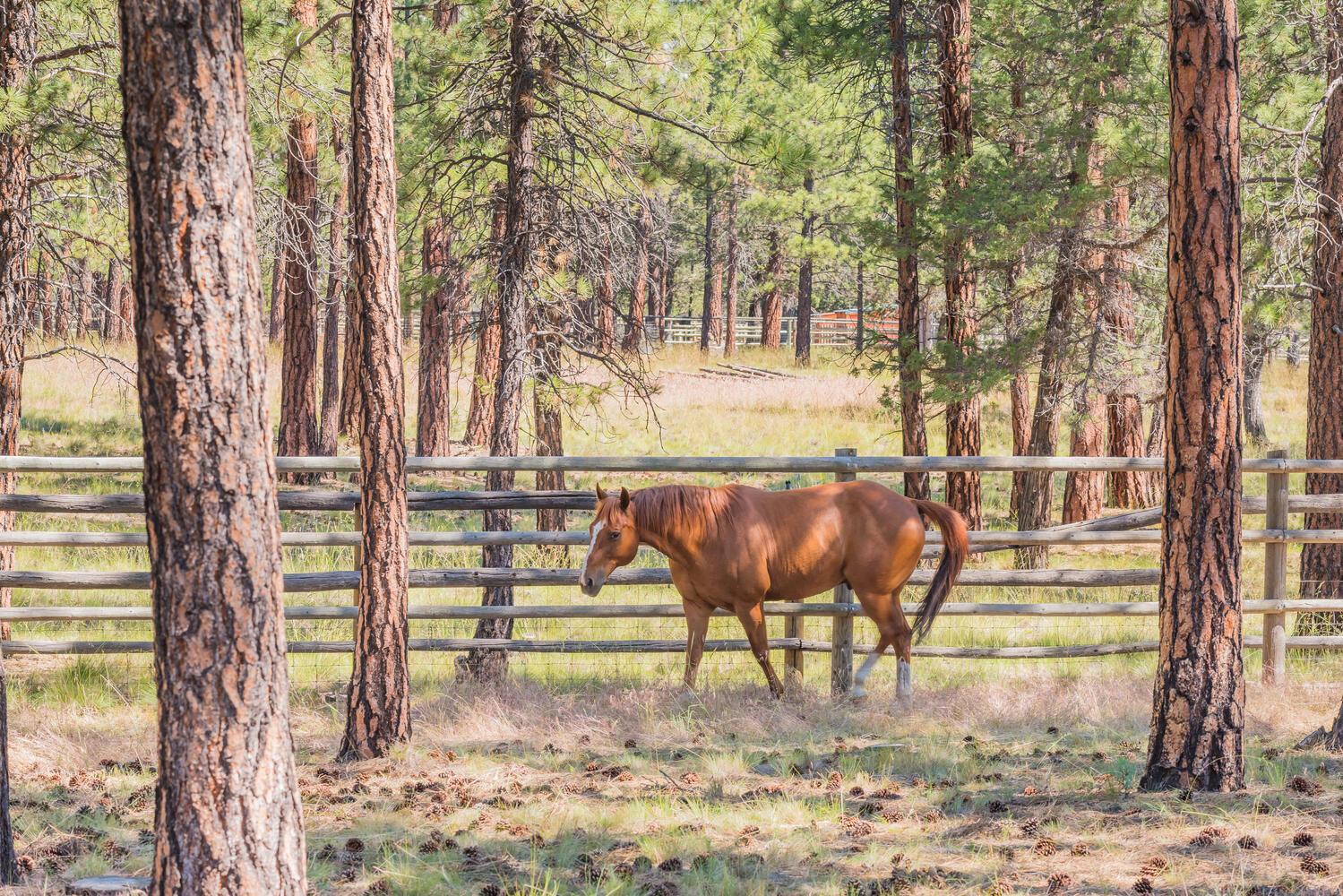 Indian Ford Meadows - Residential
