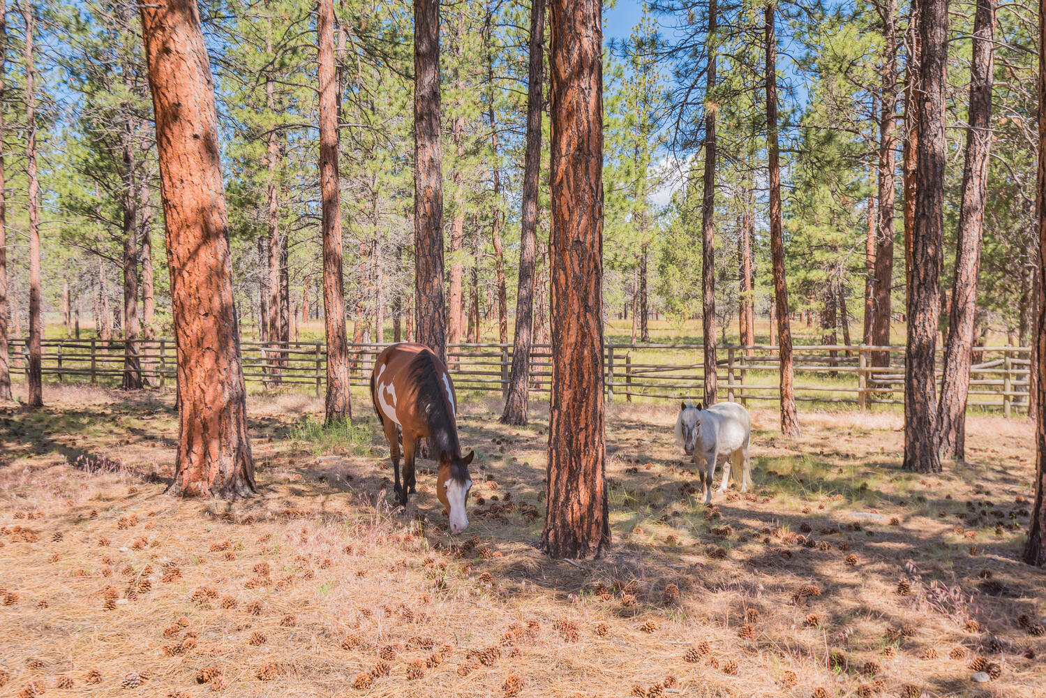 Indian Ford Meadows - Residential