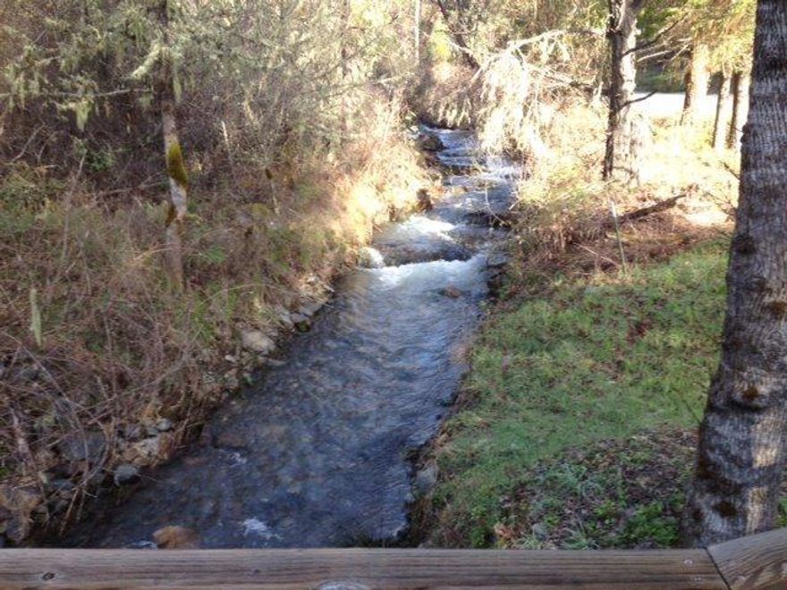 Long time owner at this property is ready to sell. Some flat areas next to Sardine Creek makes it a great recreational piece. There are conifers and madrones throughout. Buyer to due diligence with county for possible home-site opportunity. This piece can be purchased with 3864 Sardine Creek for $145,000.