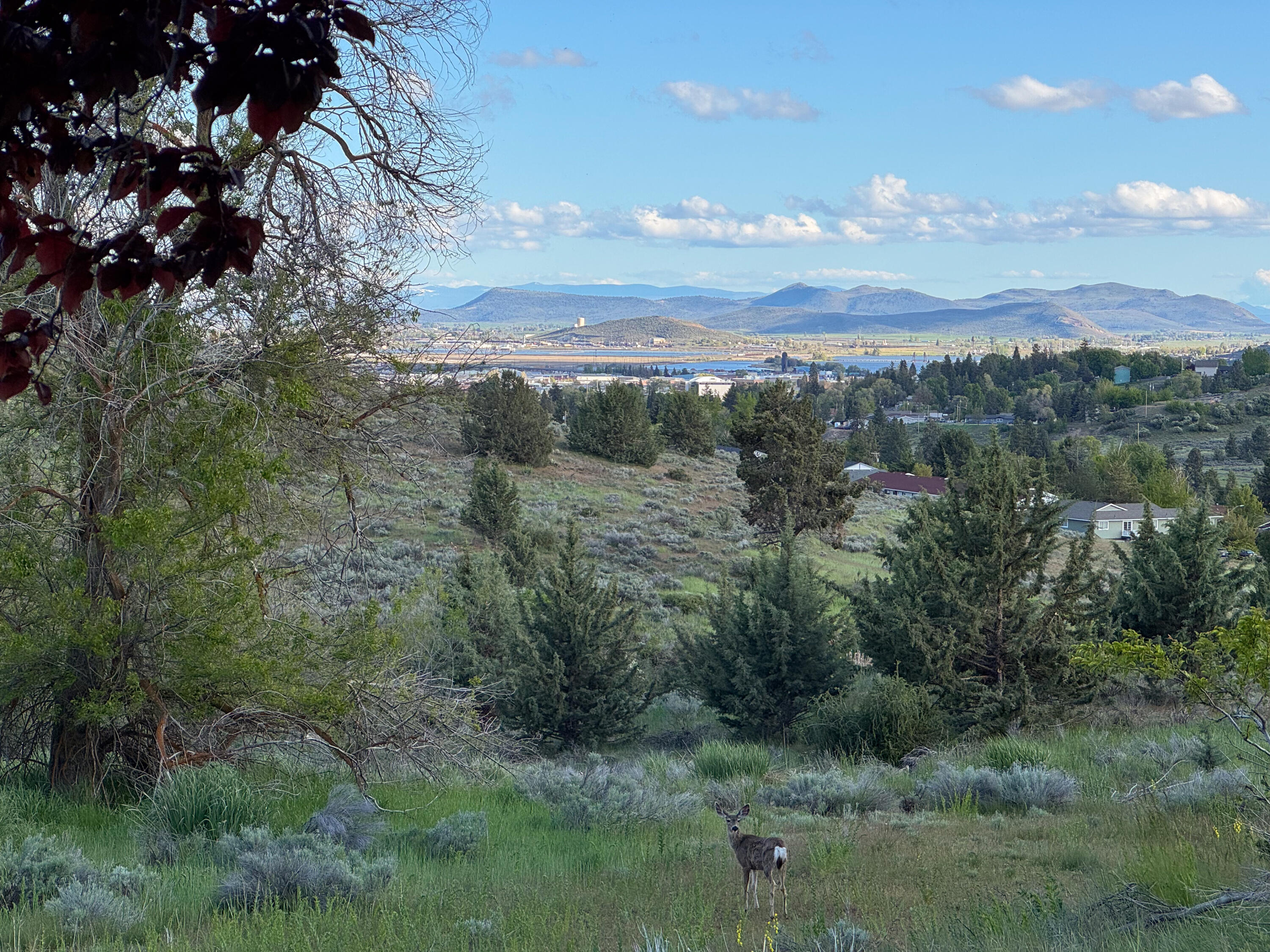 Mcloughlin Heights - Commercial Sale