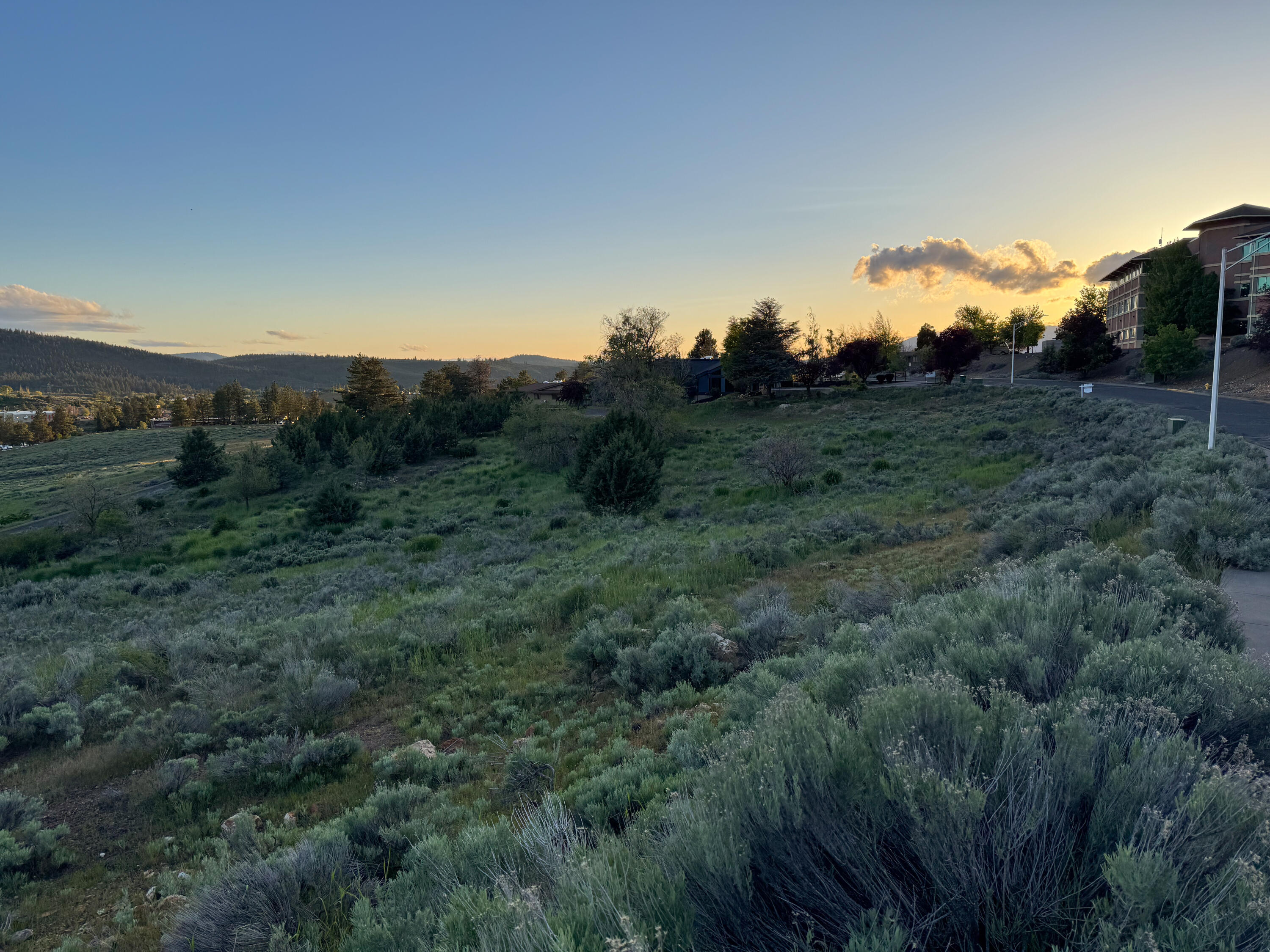 Mcloughlin Heights - Commercial Sale