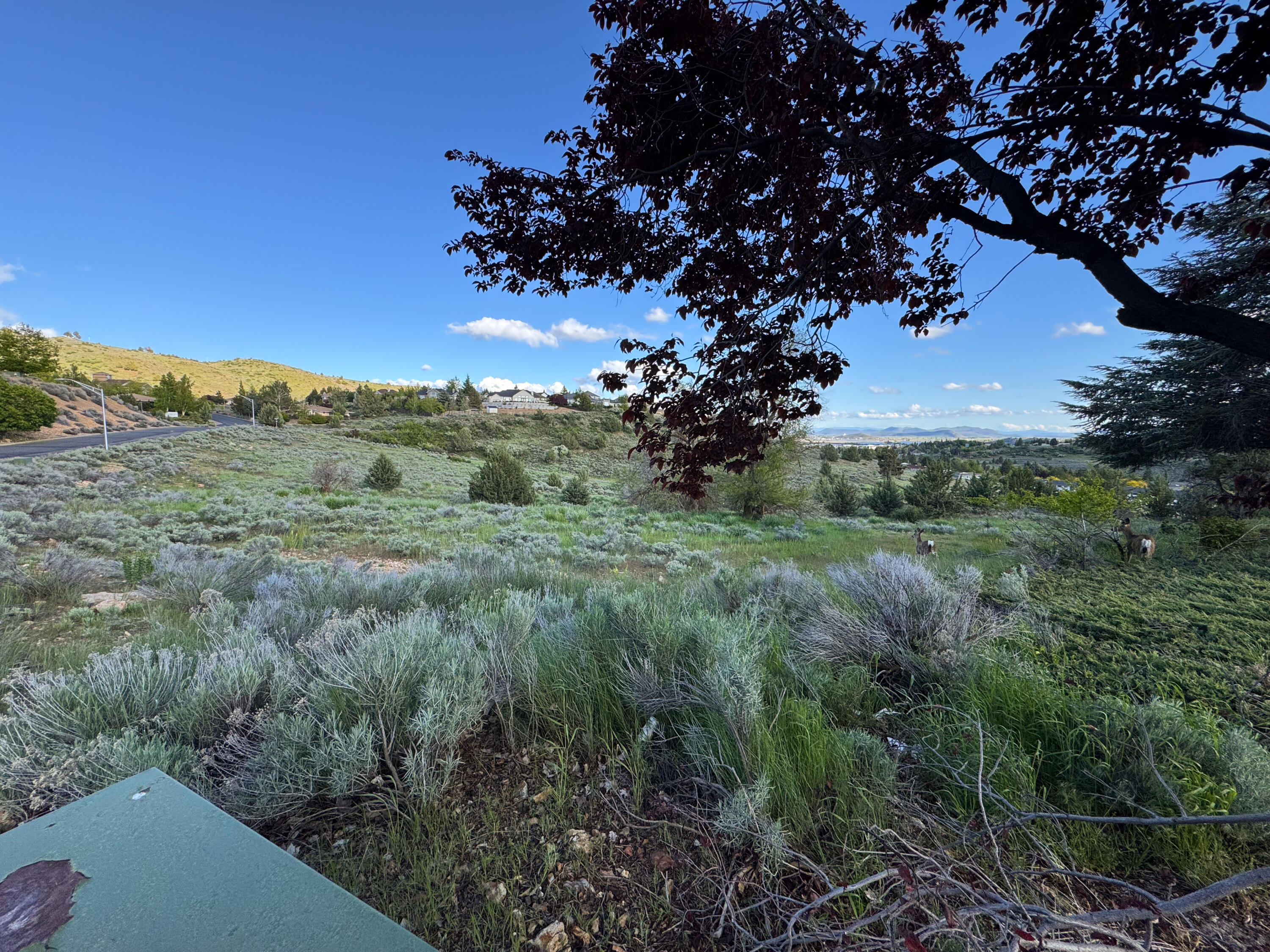 Mcloughlin Heights - Commercial Sale