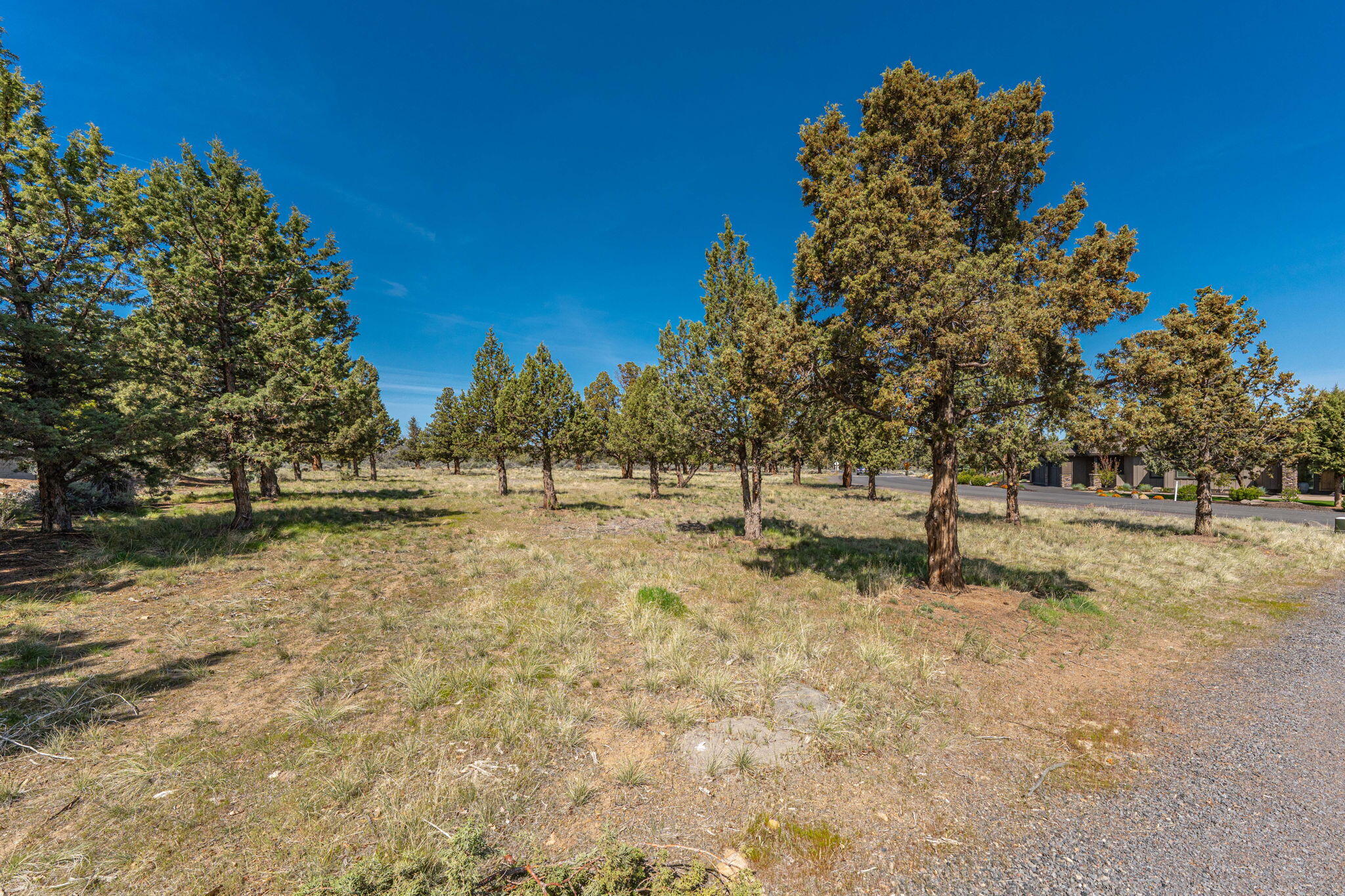 615 Solitaire Court