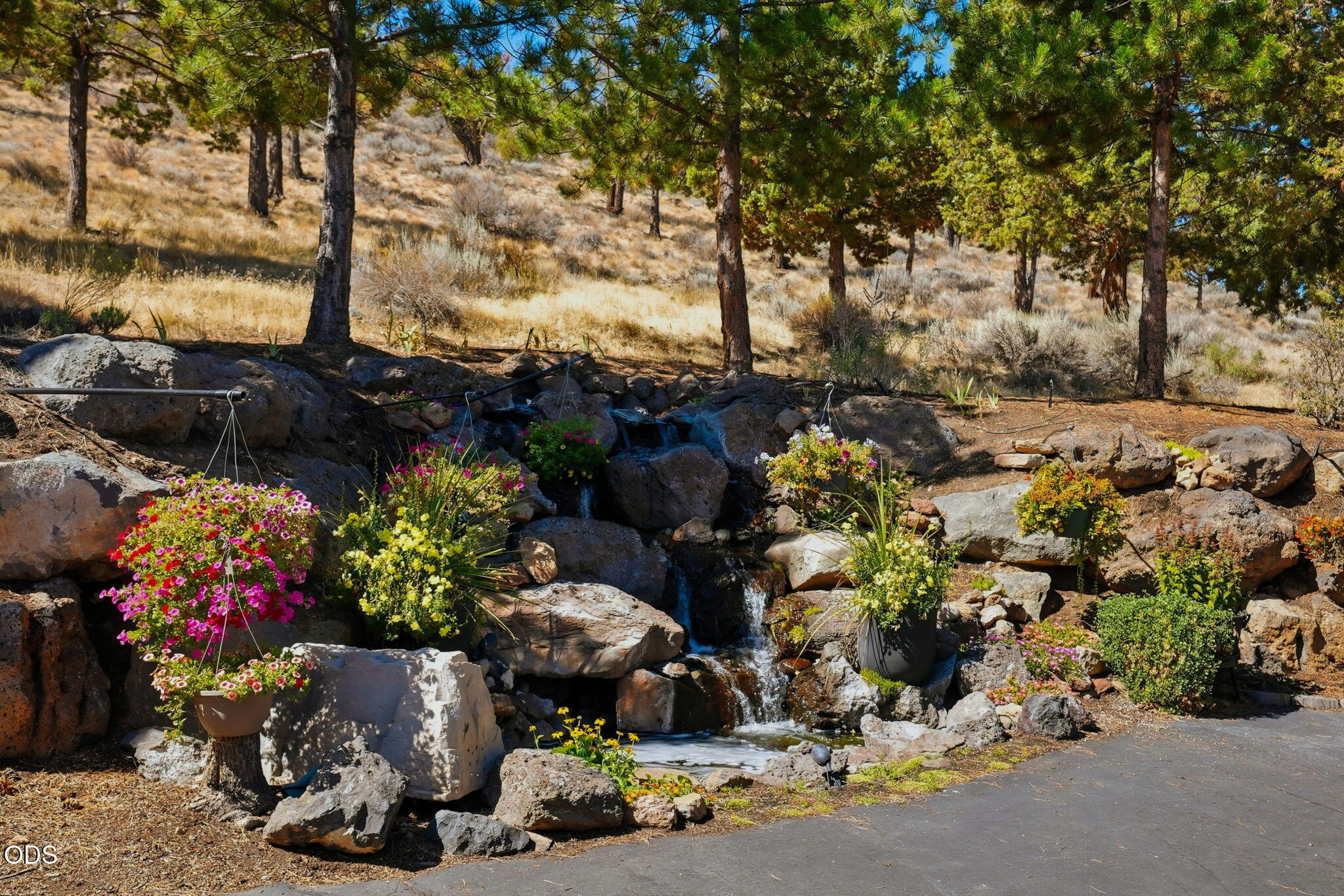 631 Sundance Ridge Court