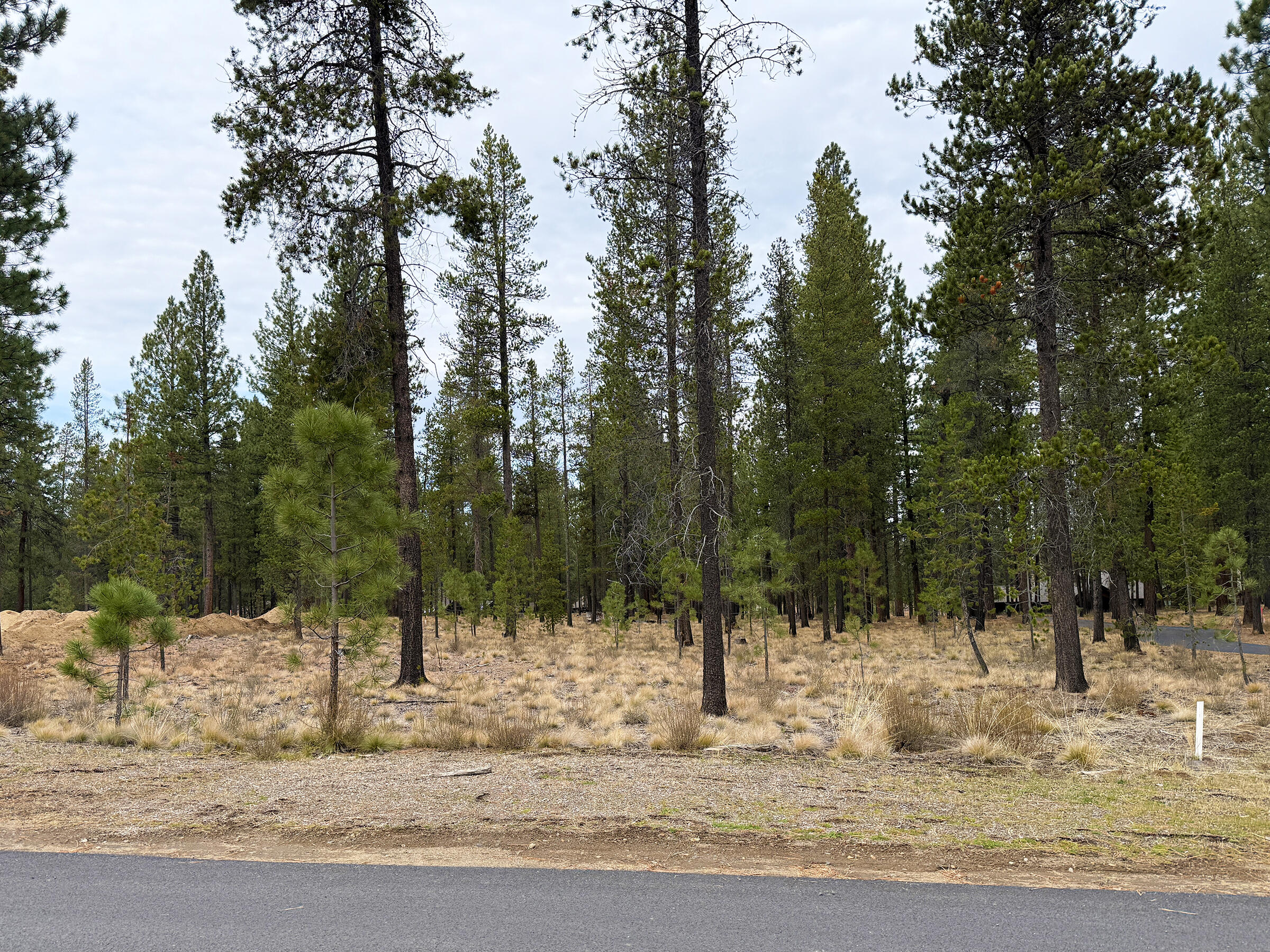 17745 Preservation Loop 472