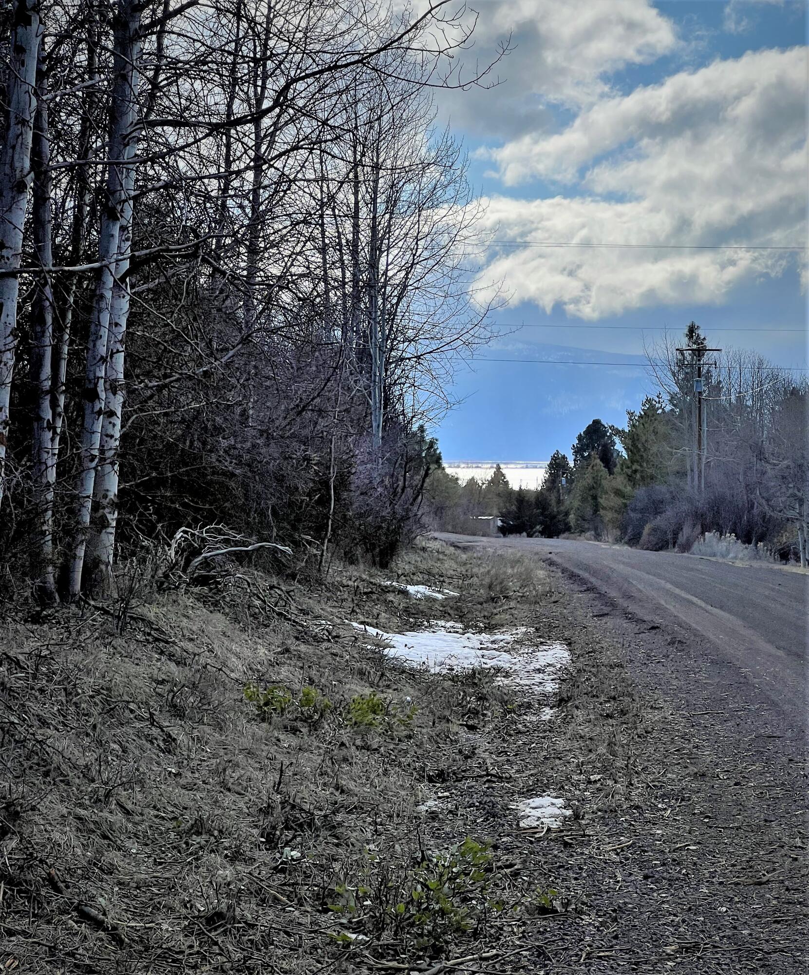 Oregon Shores - Land