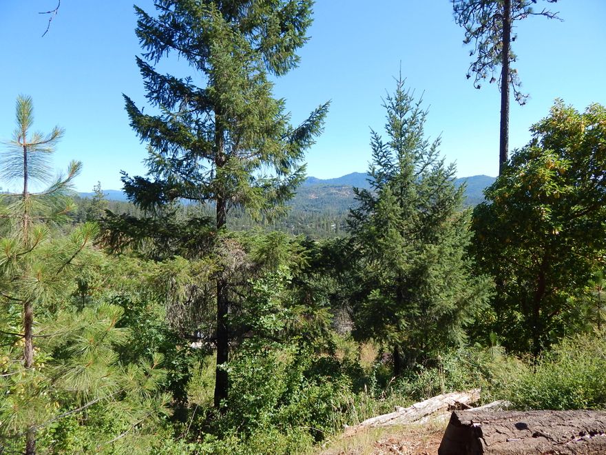 Nice situation! If you place your home just right, you will have beautiful views in a beautiful neighborhood. Electricity, water and city sewer are all near. Come enjoy living at the gateway to all year around recreation. This lot of .63-acres gives you all the room you'll need. Located near the Rogue River for fishing and rafting and minutes to Lost Creek Lake, then to all the wonders of Southern Oregon has to give. Crater Lake, Diamond Lake, numerous wineries, Shakesperian and Britt events. It doesn't get any better than this!