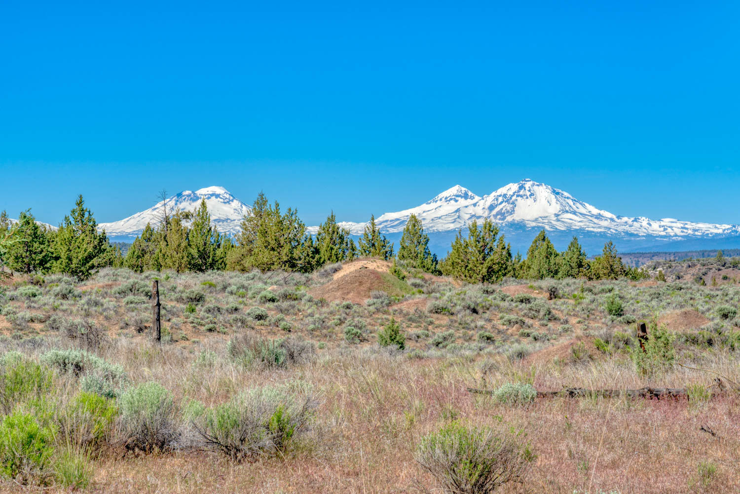 Lower Bridge Estate - Land
