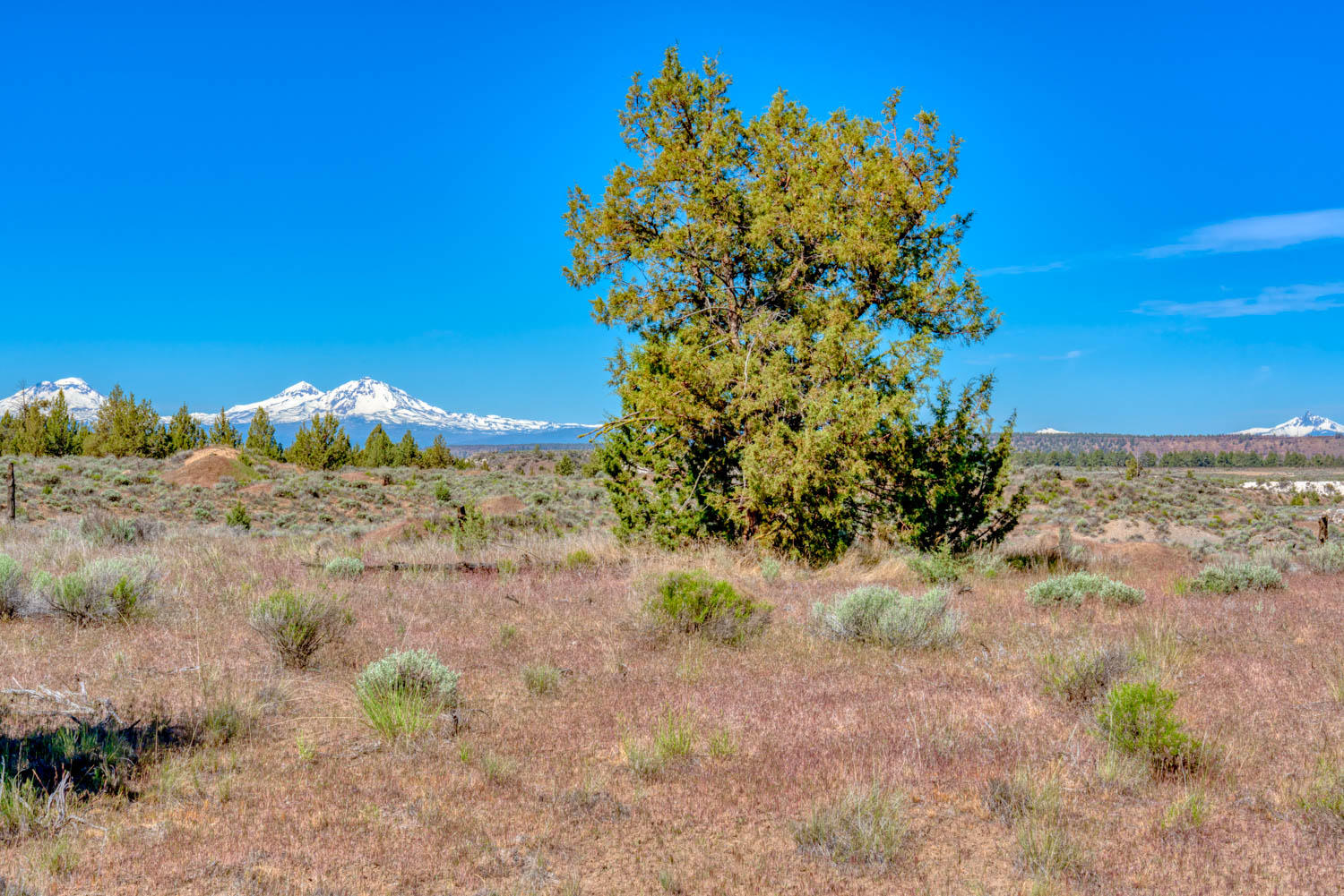Lower Bridge Estate - Land