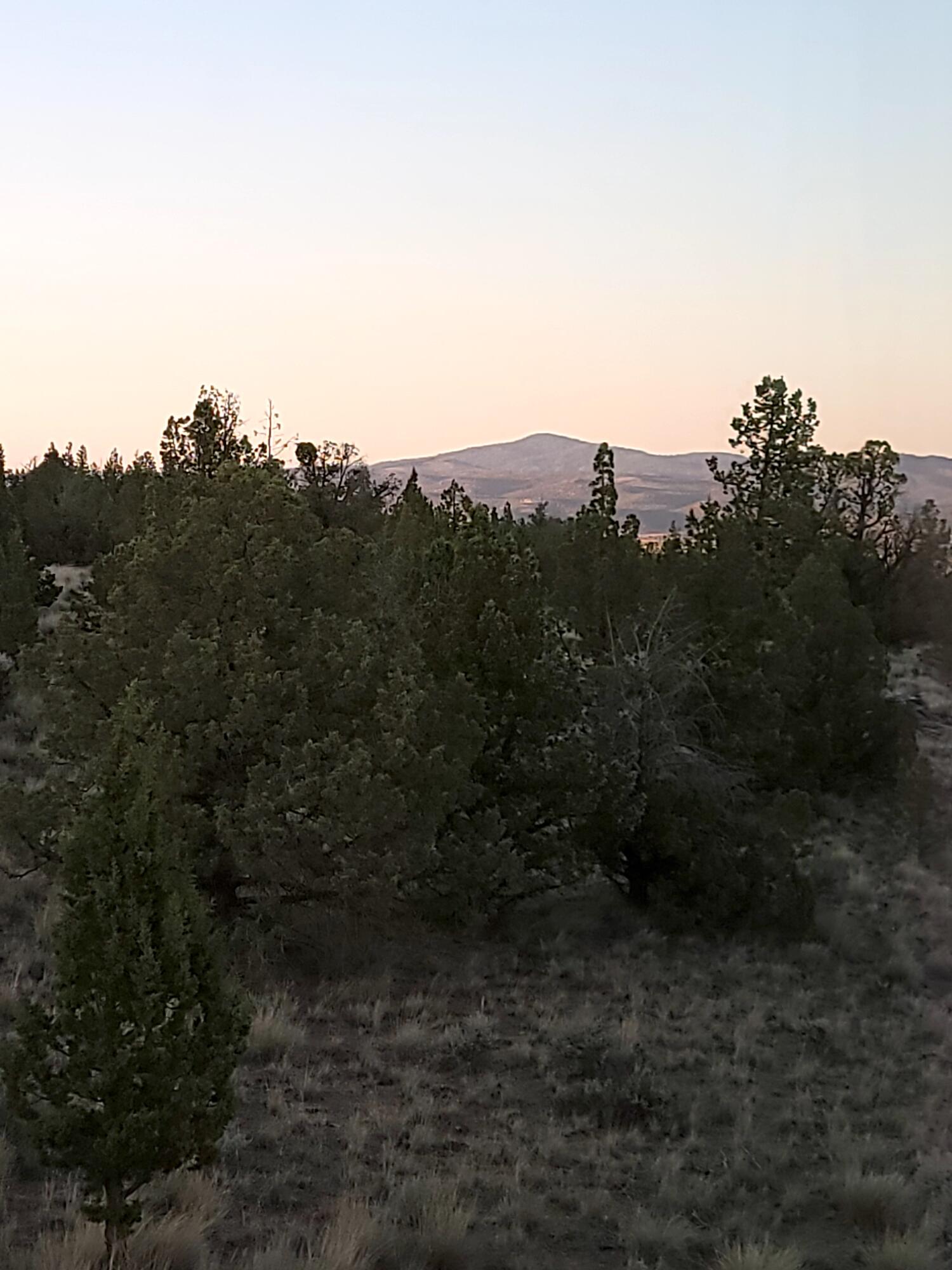 Westwood - Residential