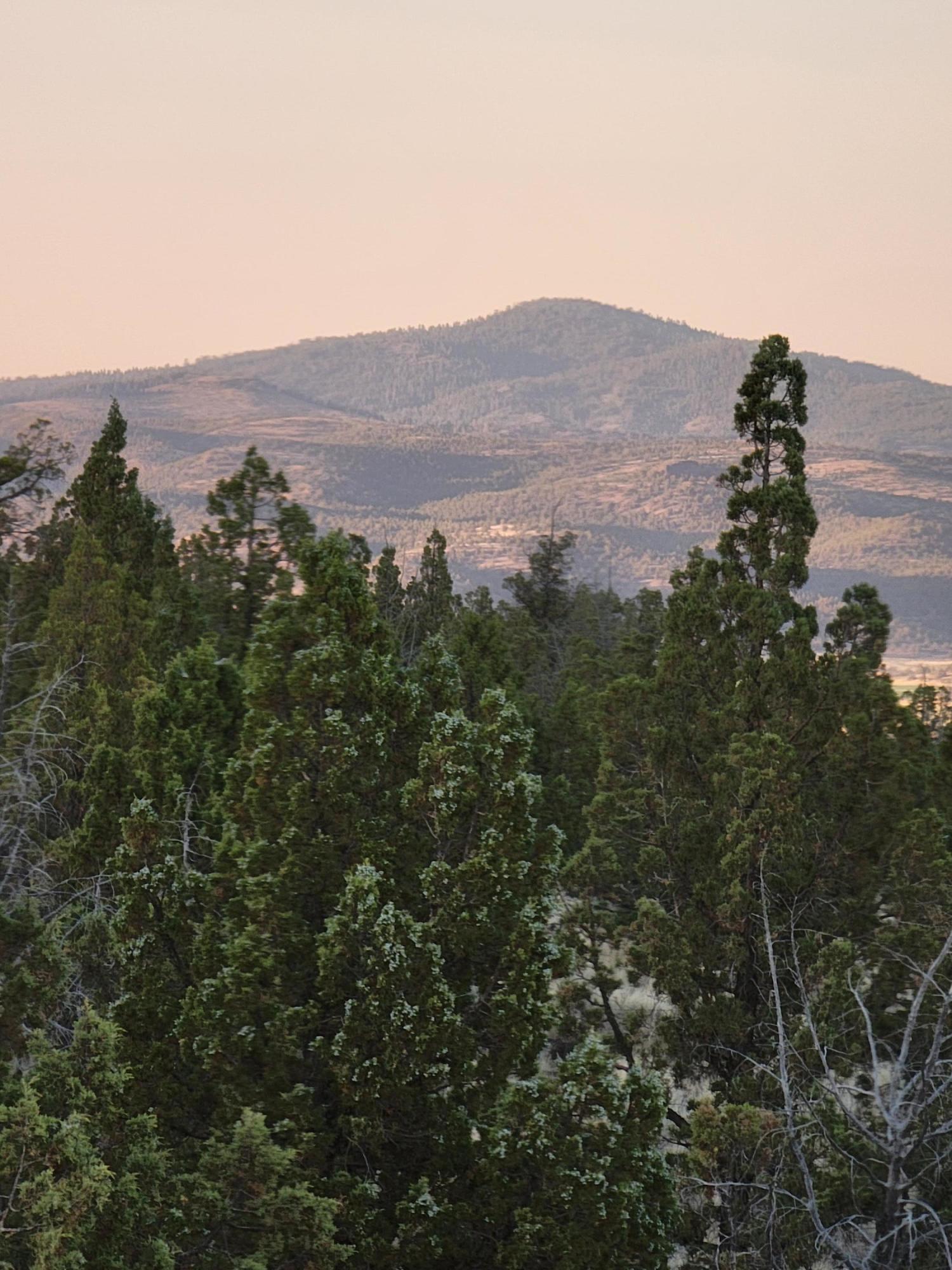 Westwood - Residential