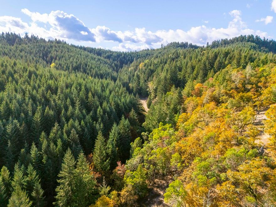 Welcome to Oak Hill 274—an expansive and private retreat just minutes from Roseburg and Sutherlin. This versatile tract offers excellent potential for timber investment, recreation, or a peaceful rural escape. The land holds an estimated 1,900 MBF of merchantable timber across rolling to moderately steep terrain, including 156 acres of 40-year-old and 70 acres of 32-year-old timber. The balance features scenic oak savannahs and mixed conifer/hardwood stands. Zoned Farm/Forest (FF), it holds potential to qualify for a large tract dwelling with a conditional use permit through Douglas County. Bordering BLM land, private parcels, and large timber holdings, Oak Hill attracts Roosevelt elk, Blacktail deer, and other wildlife. Whether you enjoy hunting, hiking, horseback riding, or ATV exploration, this property delivers year-round outdoor enjoyment. With abundant natural resources and close proximity to town, Oak Hill is both a solid investment and a gateway to adventure.