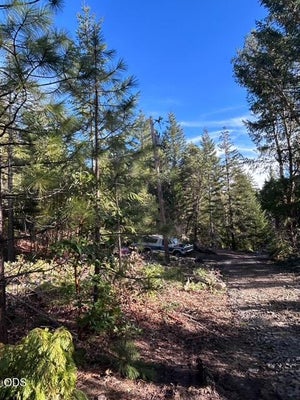 10001 DEAD INDIAN MEMORIAL RD, ASHLAND, OR 97520 - Image 81bd447a97afacdb53458cda9e5fa02d/2425384971