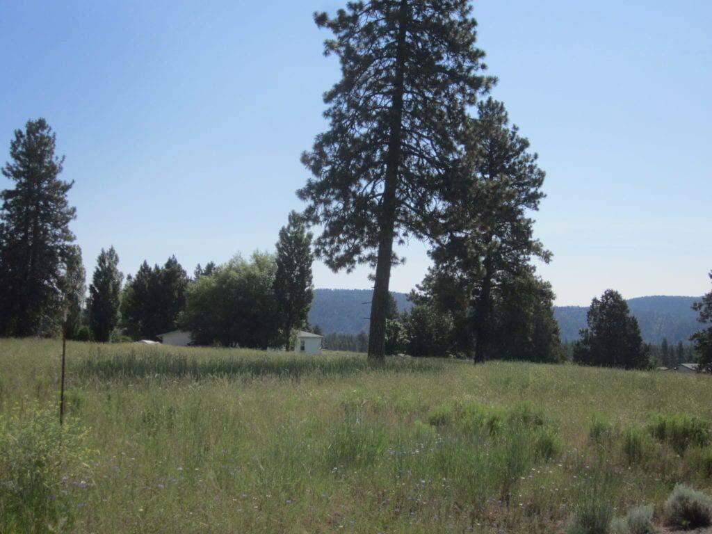 Oregon Shores -Unit 2 - Land