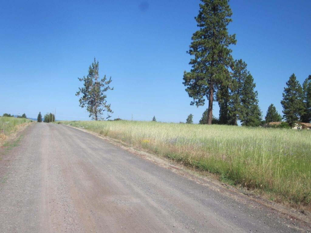 Oregon Shores -Unit 2 - Land