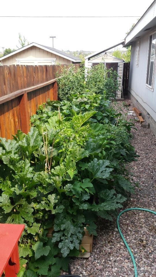 Palmain - Residential