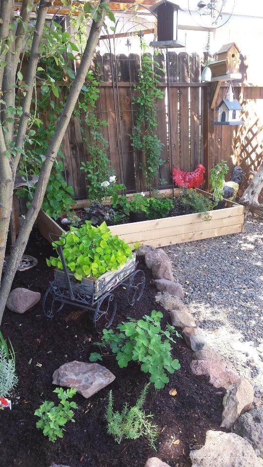 Palmain - Residential