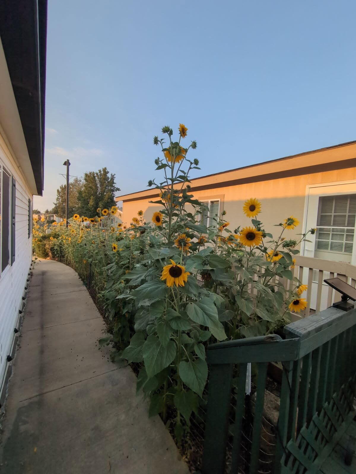 2476 SW Mariposa Loop