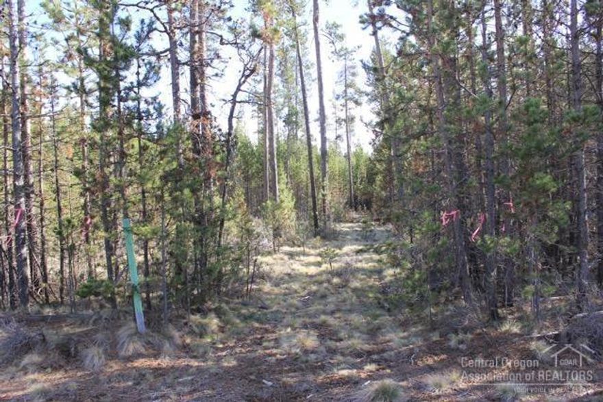 Two buildable half acre lots being sold as a package. Great way to have a big yard now and have an investment for the future. Forested subdivision with deeded river access and boat ramps. Close to all the outdoor activities of Central Oregon.