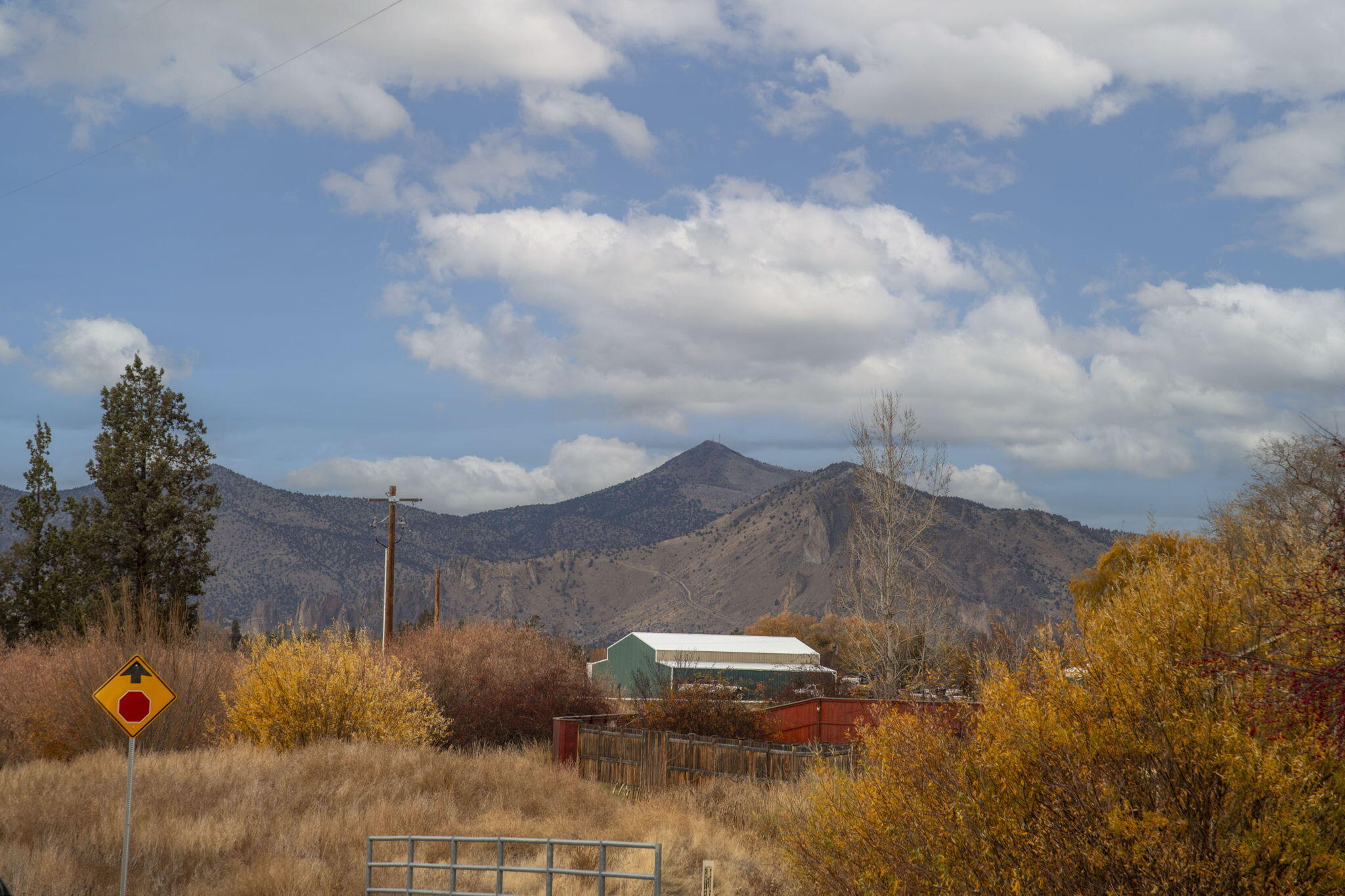 Vista Dorado - Residential