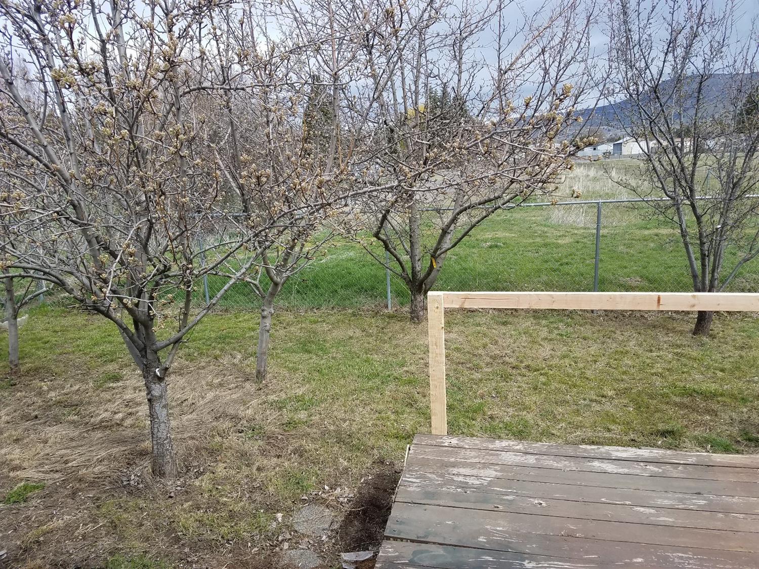 The Meadows - Residential