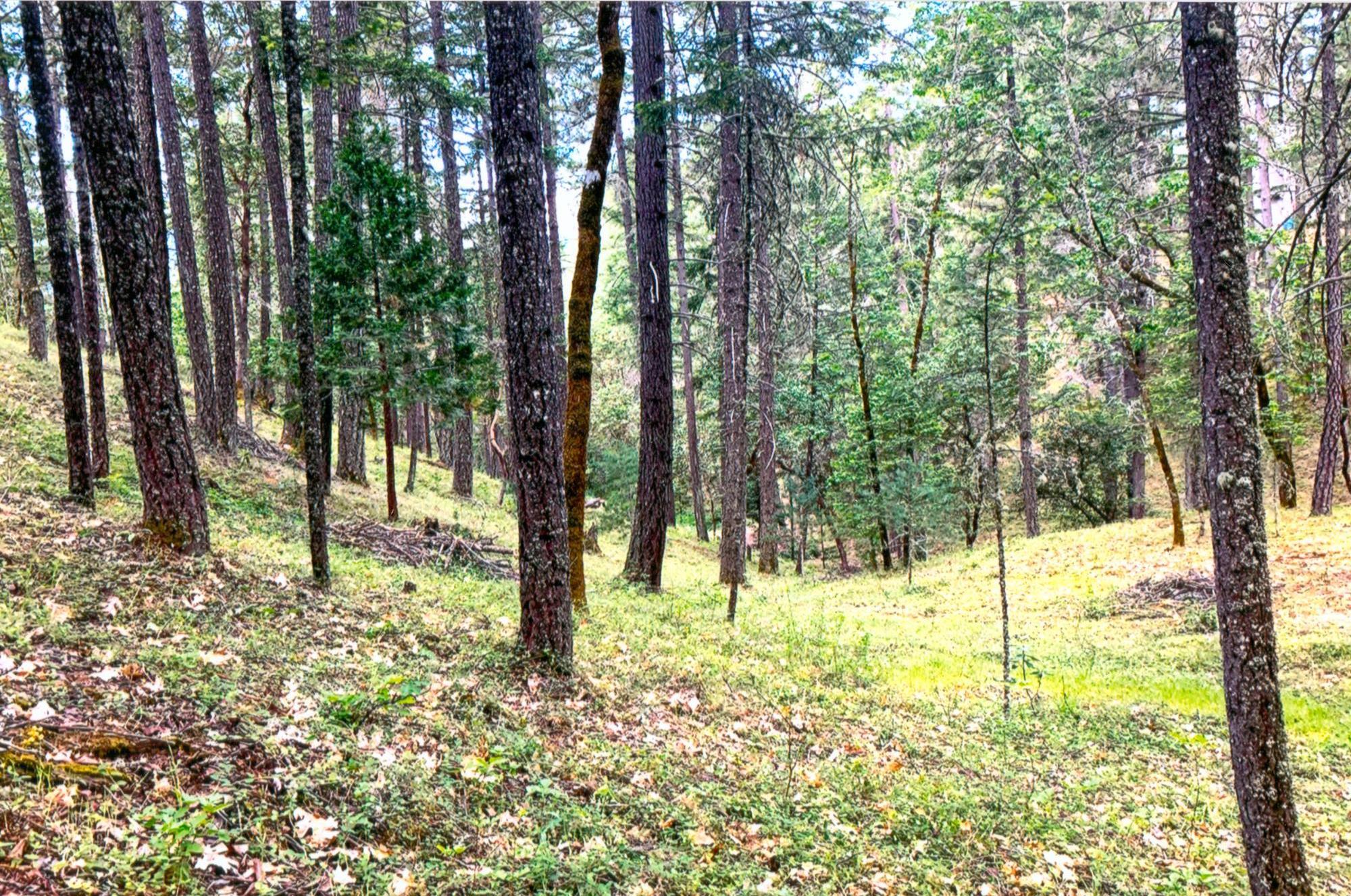 Cathedral Hills Estates - Residential