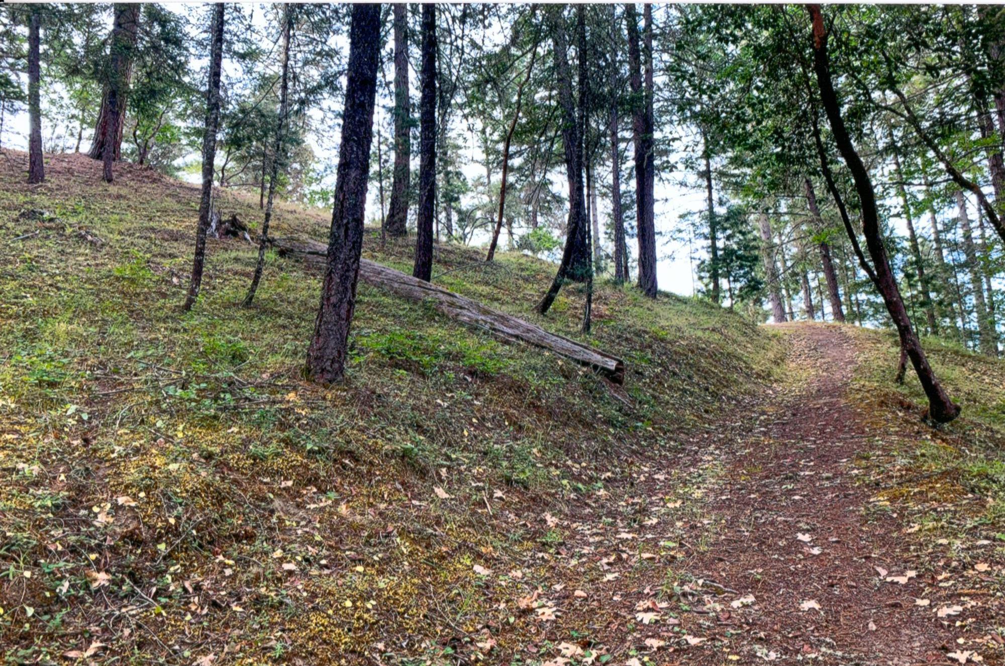 Cathedral Hills Estates - Residential