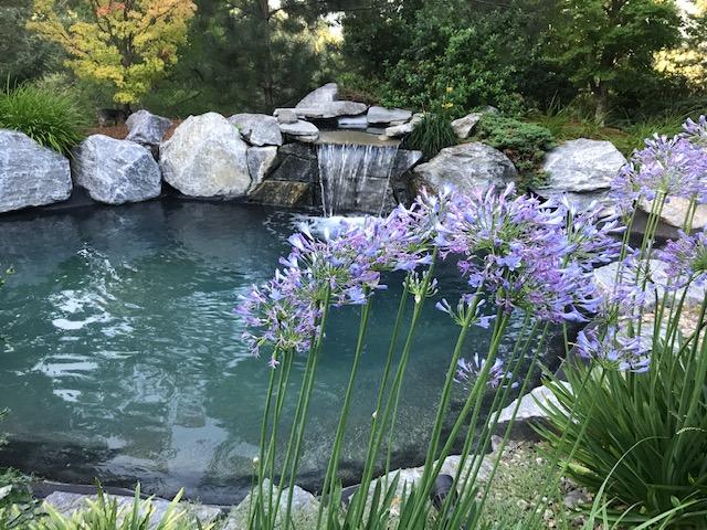 Cathedral Hills Estates - Residential