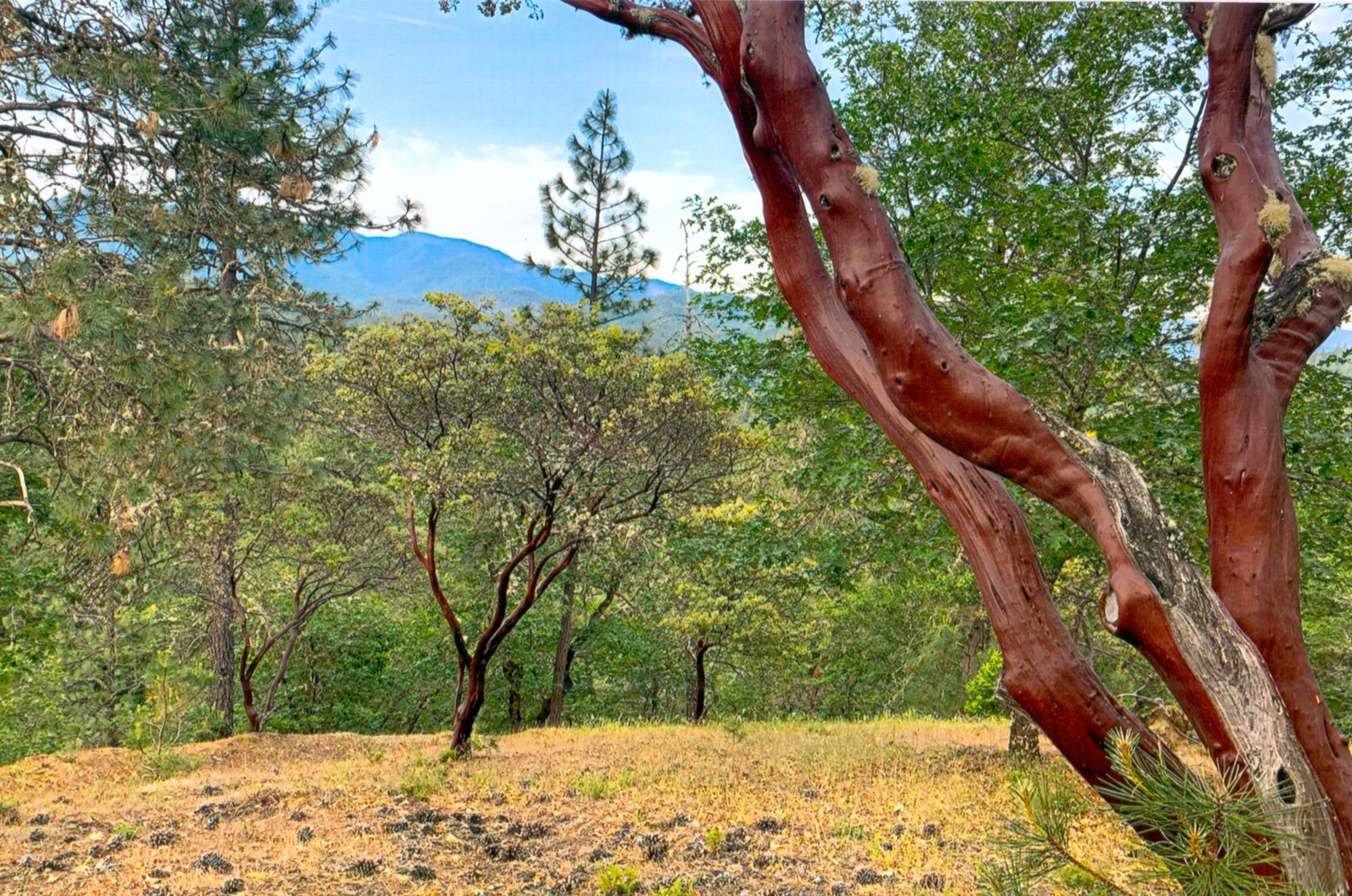 Cathedral Hills Estates - Residential