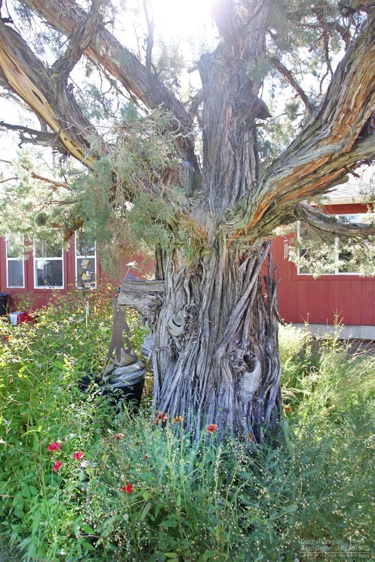 Cimarron City - Residential