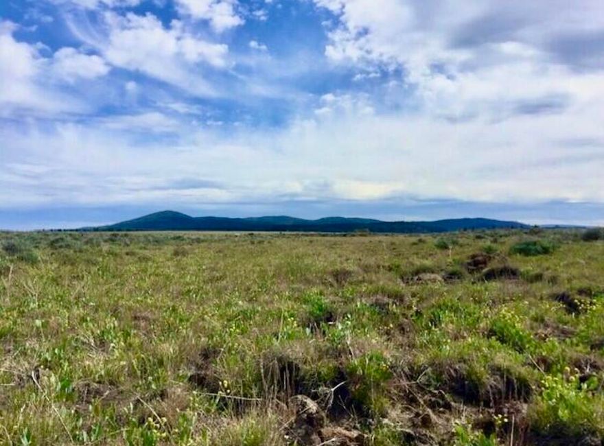 This amazing Oregon Pines property features 40 level acres with beautiful panoramic views, a seasonal creek, and a wide variety of wild flowers and native foliage. If you are looking for peace and quiet and lots of elbow room this is the land for you!