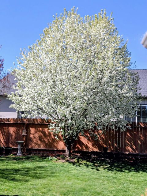 Tiny photo for 5151 Regency Drive, Klamath Falls, OR 97603 (MLS # 220212474)