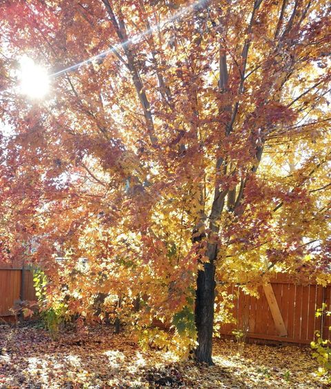 Tiny photo for 5151 Regency Drive, Klamath Falls, OR 97603 (MLS # 220212474)