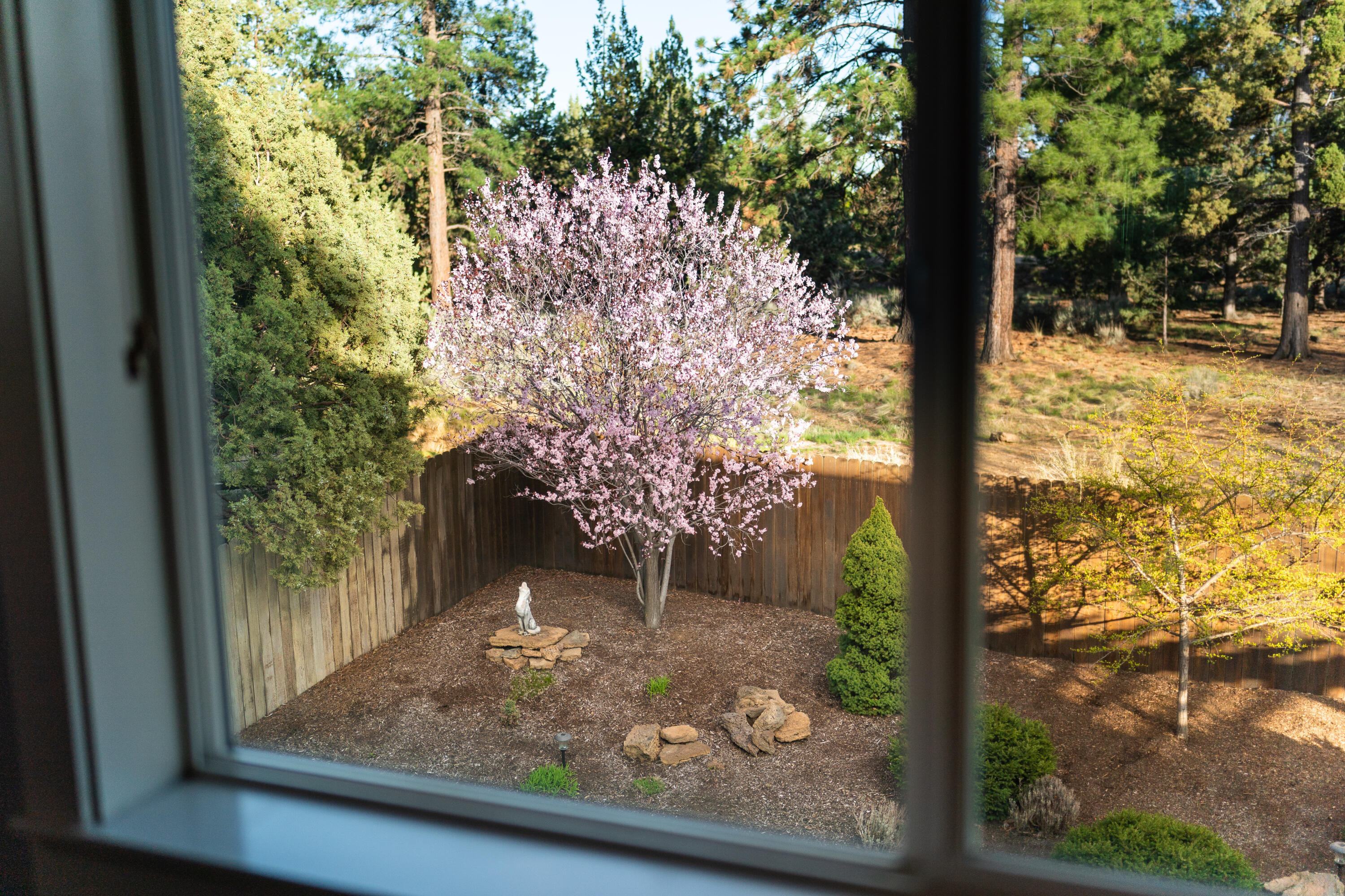 SilverRidge - Residential