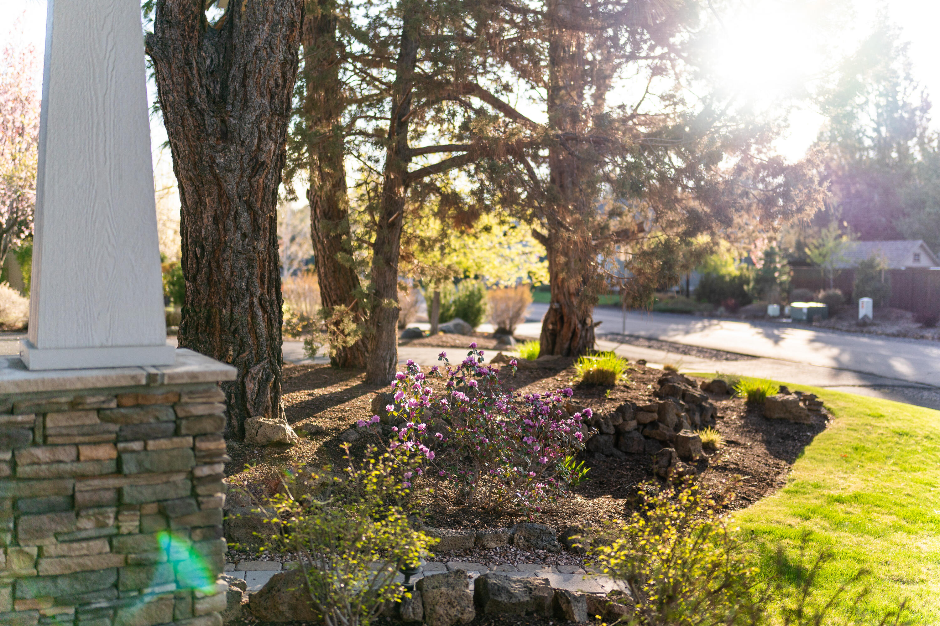 SilverRidge - Residential