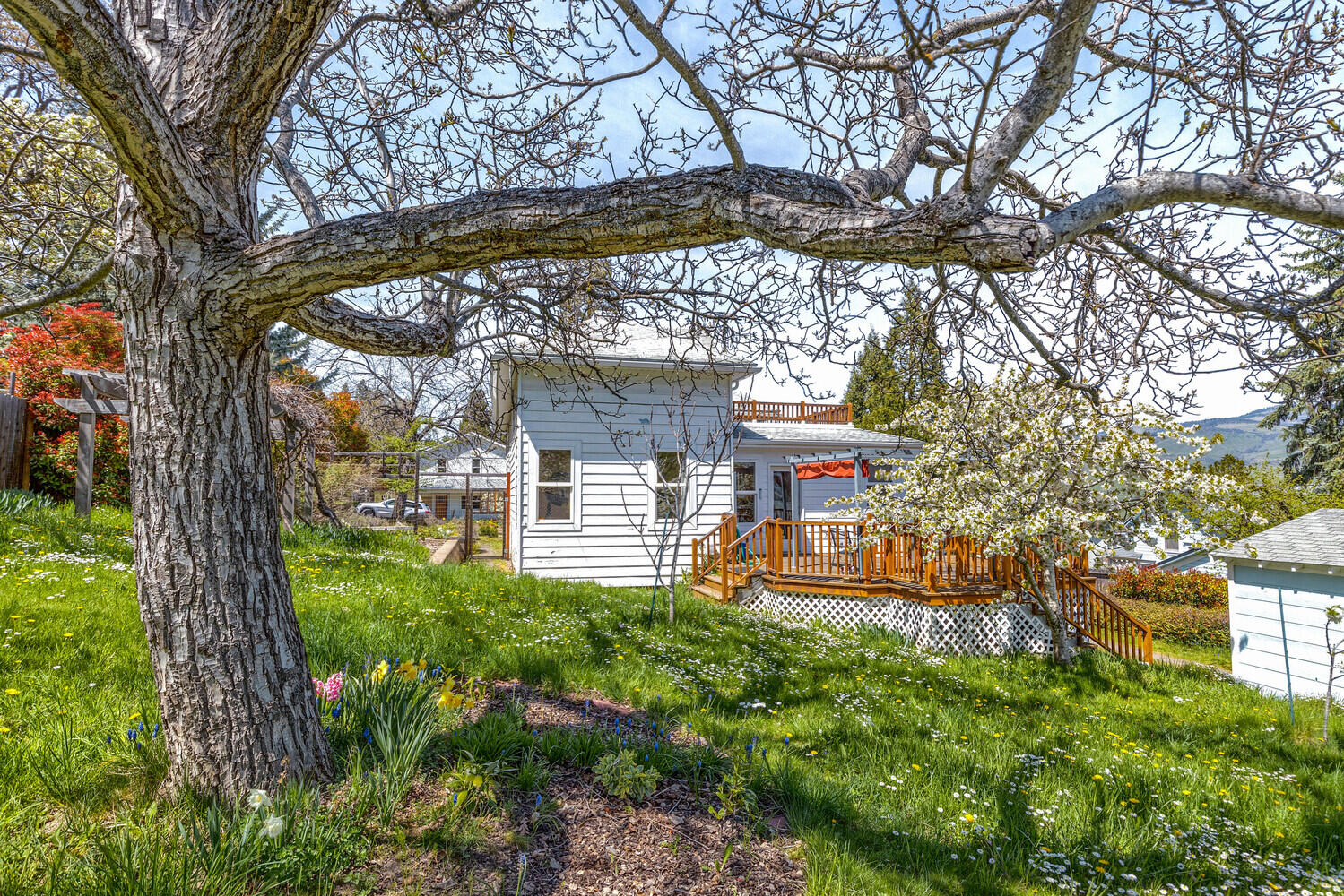 Ashland Original Town (1889-1892) - Residential