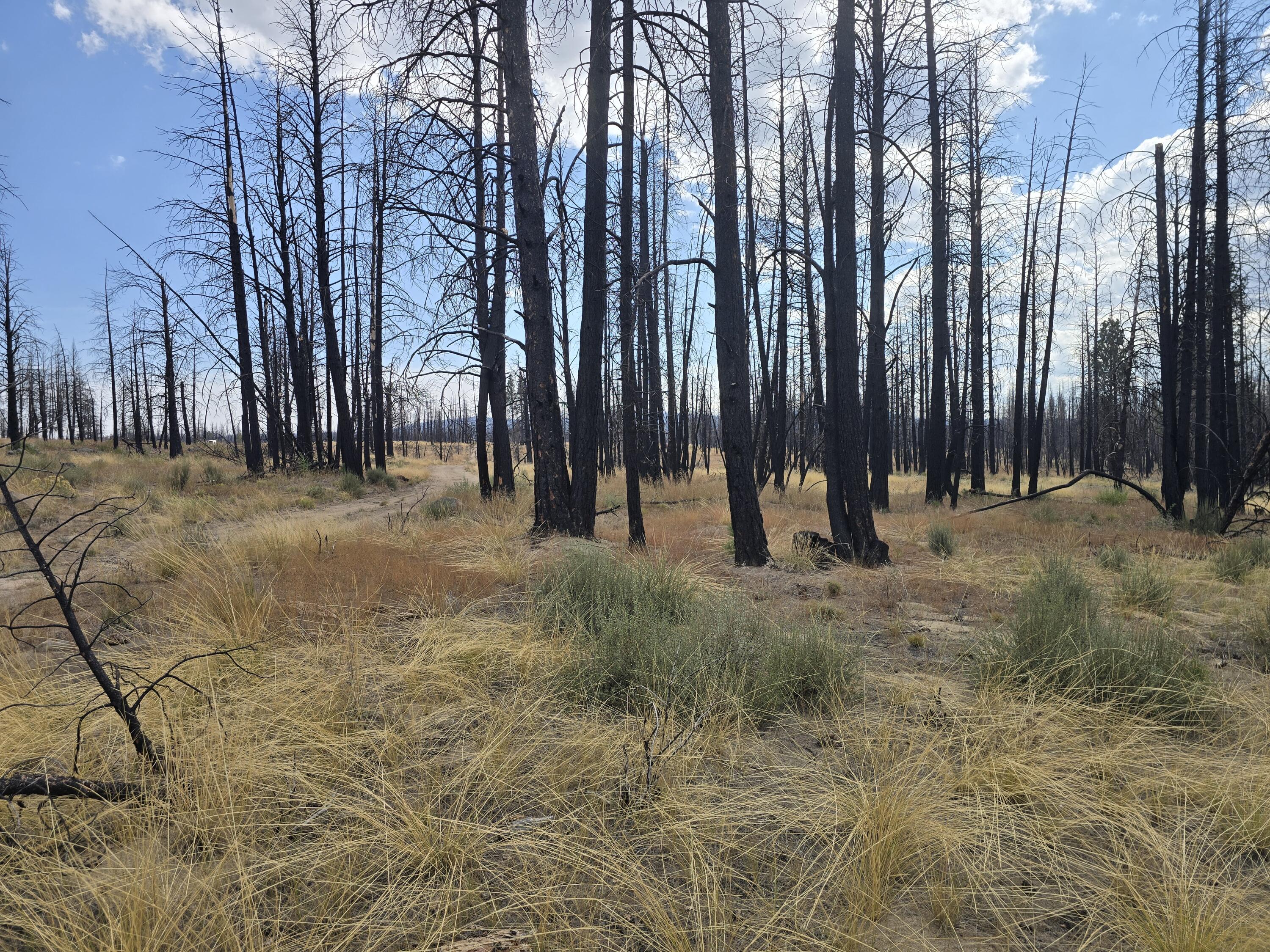 Klamath Falls Forest Estates -Sycan Unit - Land