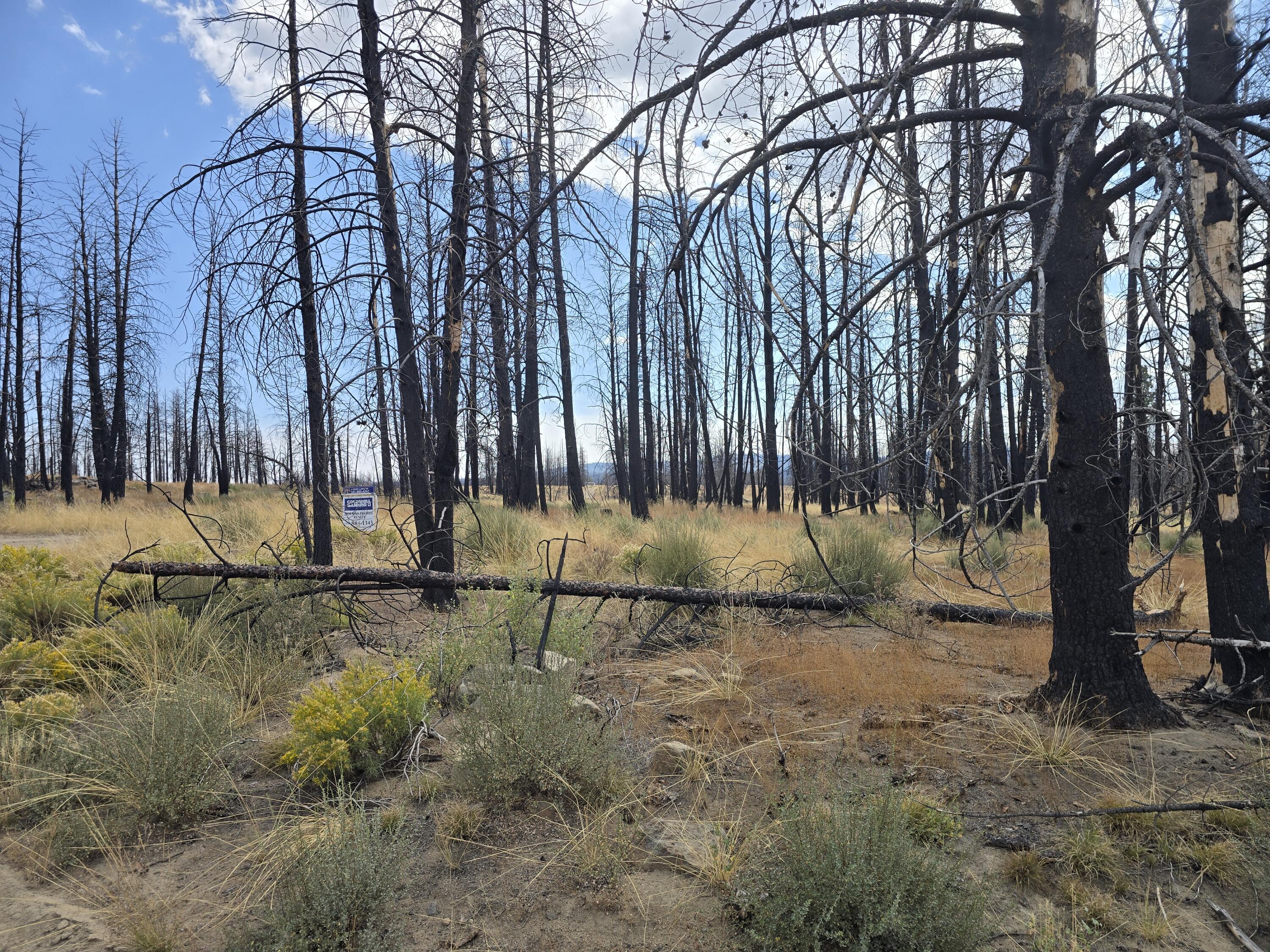 Klamath Falls Forest Estates -Sycan Unit - Land